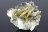 Calcite Crystal Cluster with Pyrite Inclusions - Norway #177557-2